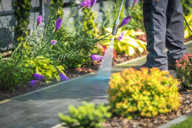 Professional Pressure Washing Services in Taft, CA
